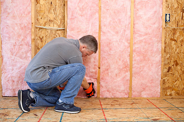 Professional Insulation Contractor in Hoback, WY